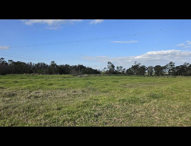 128,480M² FARM FOR SALE IN GREYTON